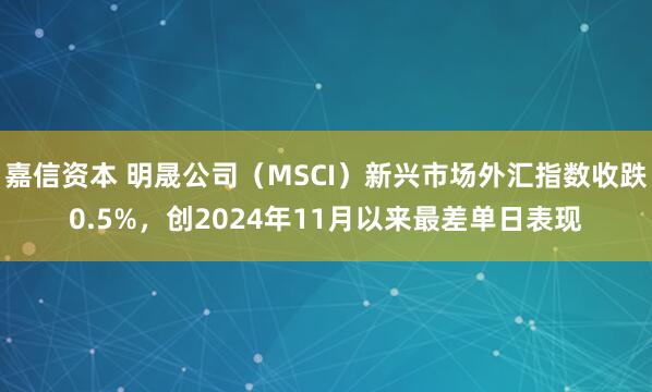 嘉信资本 明晟公司（MSCI）新兴市场外汇指数收跌0.5%，创2024年11月以来最差单日表现