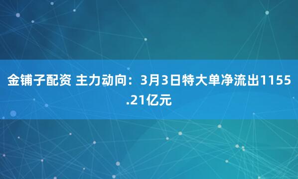 金铺子配资 主力动向：3月3日特大单净流出1155.21亿元