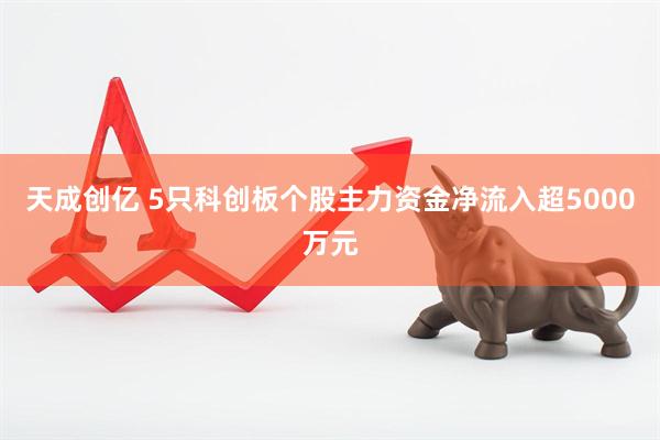 天成创亿 5只科创板个股主力资金净流入超5000万元