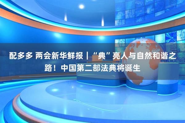 配多多 两会新华鲜报｜“典”亮人与自然和谐之路！中国第二部法典将诞生