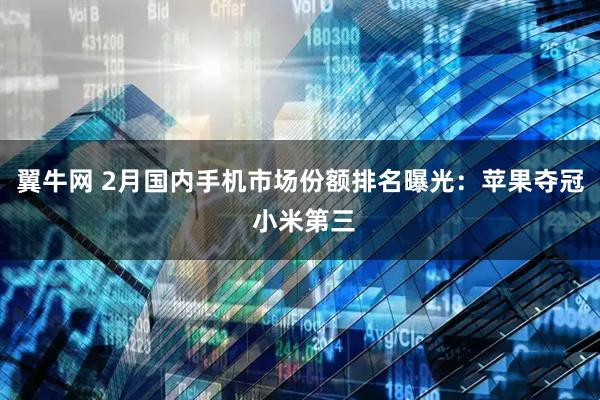 翼牛网 2月国内手机市场份额排名曝光：苹果夺冠 小米第三