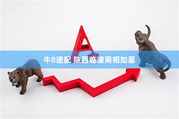 牛8速配 陕西临潼蔺相如墓