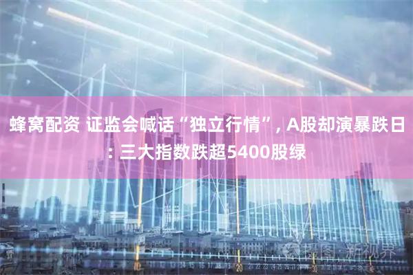 蜂窝配资 证监会喊话“独立行情”, A股却演暴跌日: 三大指数跌超5400股绿