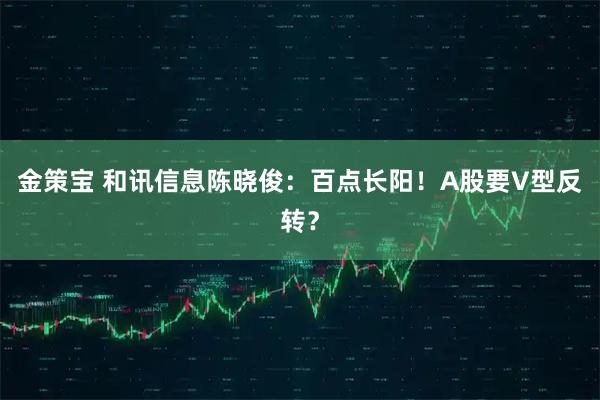 金策宝 和讯信息陈晓俊：百点长阳！A股要V型反转？
