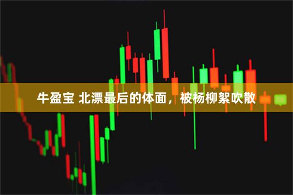 牛盈宝 北漂最后的体面,被杨柳絮吹散