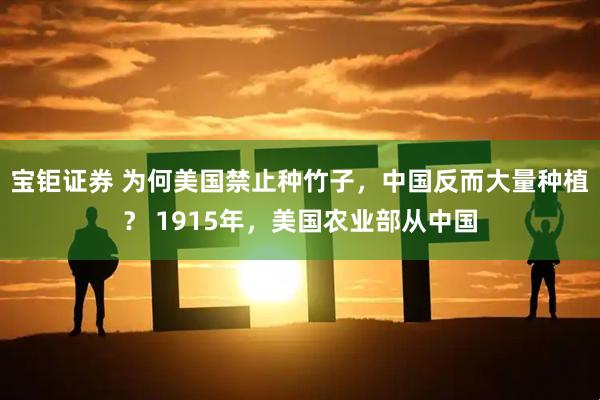 宝钜证券 为何美国禁止种竹子，中国反而大量种植？ 1915年，美国农业部从中国