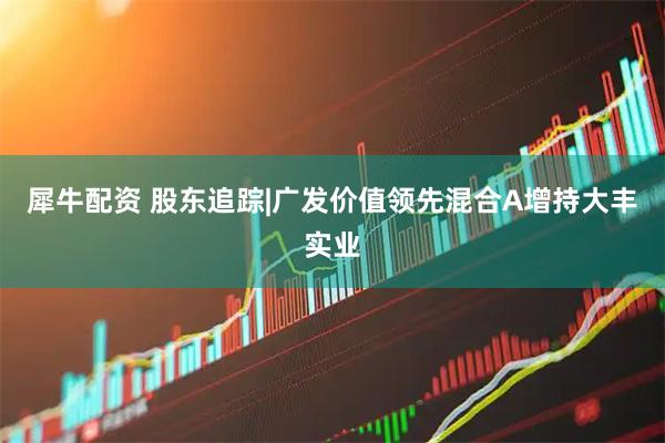 犀牛配资 股东追踪|广发价值领先混合A增持大丰实业