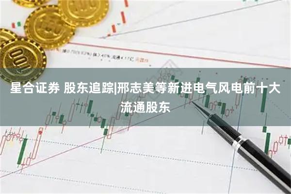 星合证券 股东追踪|邢志美等新进电气风电前十大流通股东