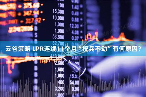 云谷策略 LPR连续11个月“按兵不动”有何原因？