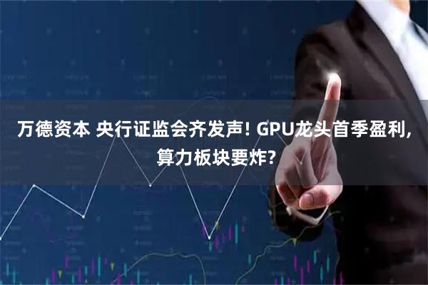 万德资本 央行证监会齐发声! GPU龙头首季盈利, 算力板块要炸?