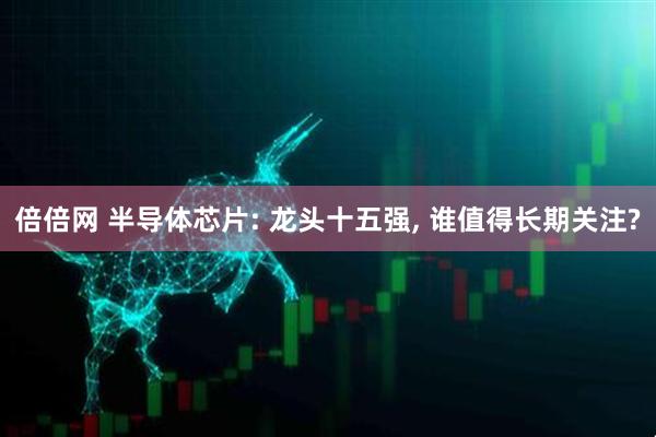 倍倍网 半导体芯片: 龙头十五强, 谁值得长期关注?