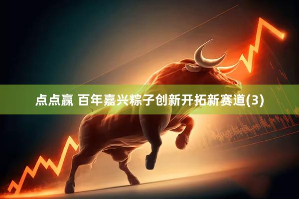 点点赢 百年嘉兴粽子创新开拓新赛道(3)