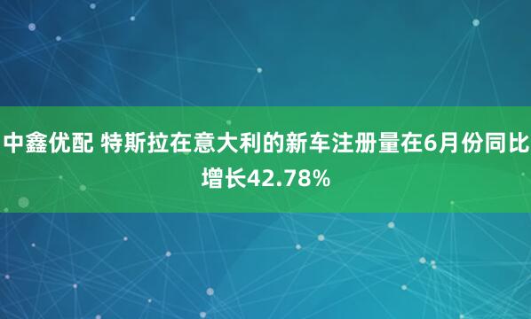 中鑫优配 特斯拉在意大利的新车注册量在6月份同比增长42.78%