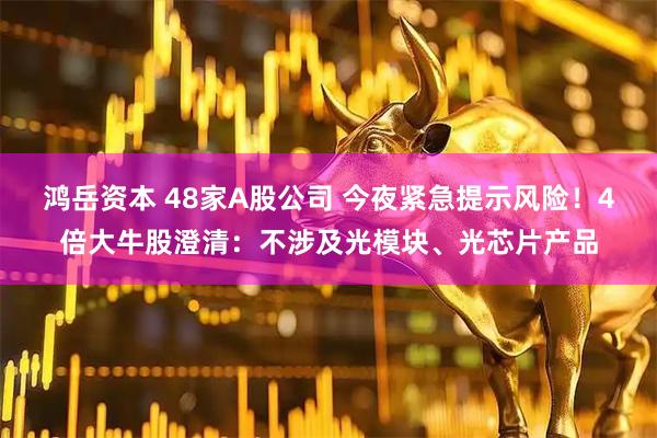 鸿岳资本 48家A股公司 今夜紧急提示风险！4倍大牛股澄清：不涉及光模块、光芯片产品