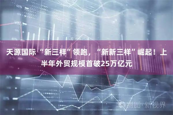 天源国际 “新三样”领跑，“新新三样”崛起！上半年外贸规模首破25万亿元
