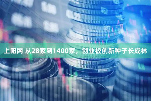 上阳网 从28家到1400家,创业板创新种子长成林