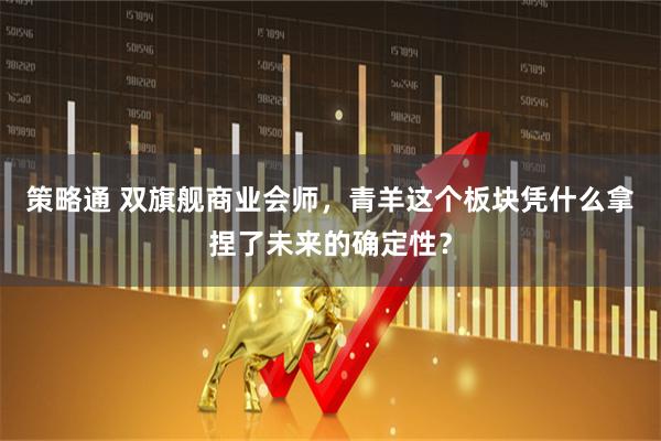 策略通 双旗舰商业会师，青羊这个板块凭什么拿捏了未来的确定性？