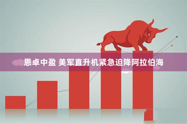 恩卓中盈 美军直升机紧急迫降阿拉伯海