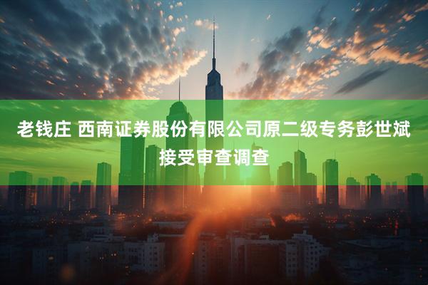 老钱庄 西南证券股份有限公司原二级专务彭世斌接受审查调查