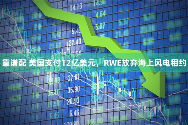 靠谱配 美国支付12亿美元，RWE放弃海上风电租约