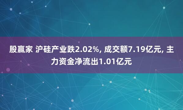 股赢家 沪硅产业跌2.02%, 成交额7.19亿元, 主力资金净流出1.01亿元